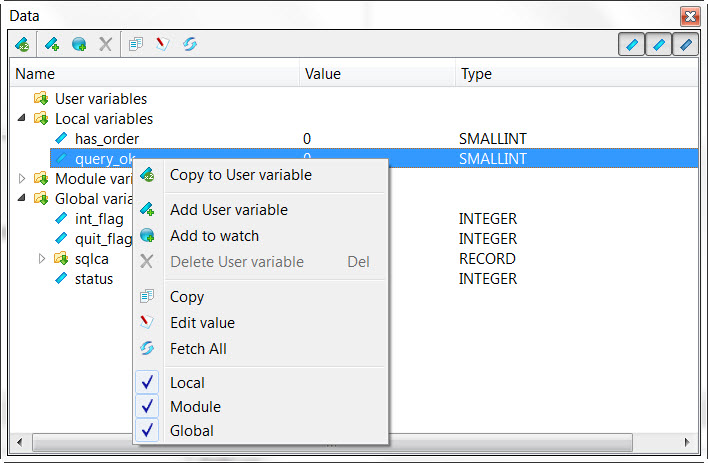 This figure is a screenshot of the Debugger Data View.