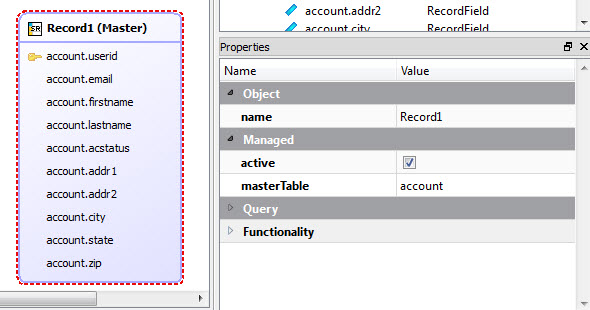 This figure is a screenshot of the master table record.