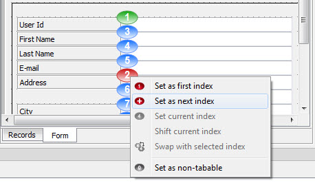 This figure is a screenshot showing the tab index order for form items. The order is indicated by the number to the right of the form item.